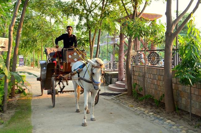 Kangs Nirvana Resorts And Spa Mahalpur Екстер'єр фото